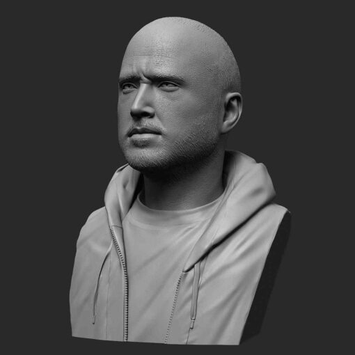 Breaking Bed – Jesse Pinkman Bust | 3D Print Model | STL Files