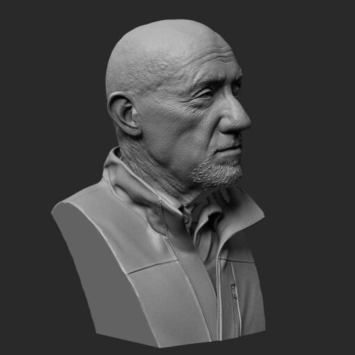Breaking Bed – Mike Ehrmantraut Bust | 3D Print Model | STL Files