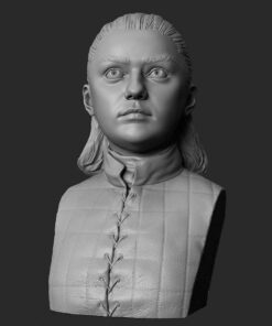 Game of Thrones – Arya Stark Bust | 3D Print Model | STL Files